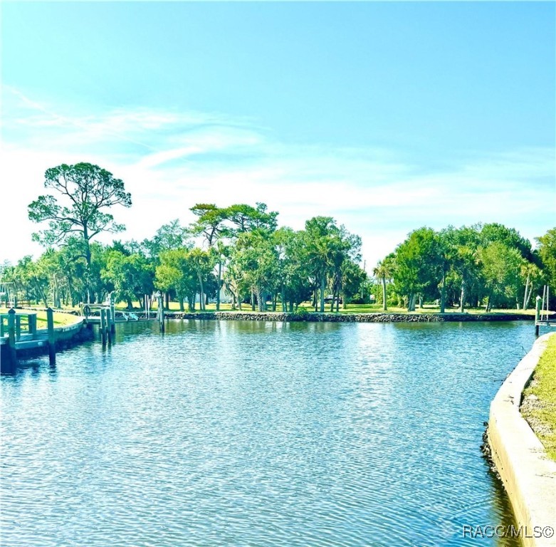 Bayshore Dr, Crystal River, FL 34429 #1