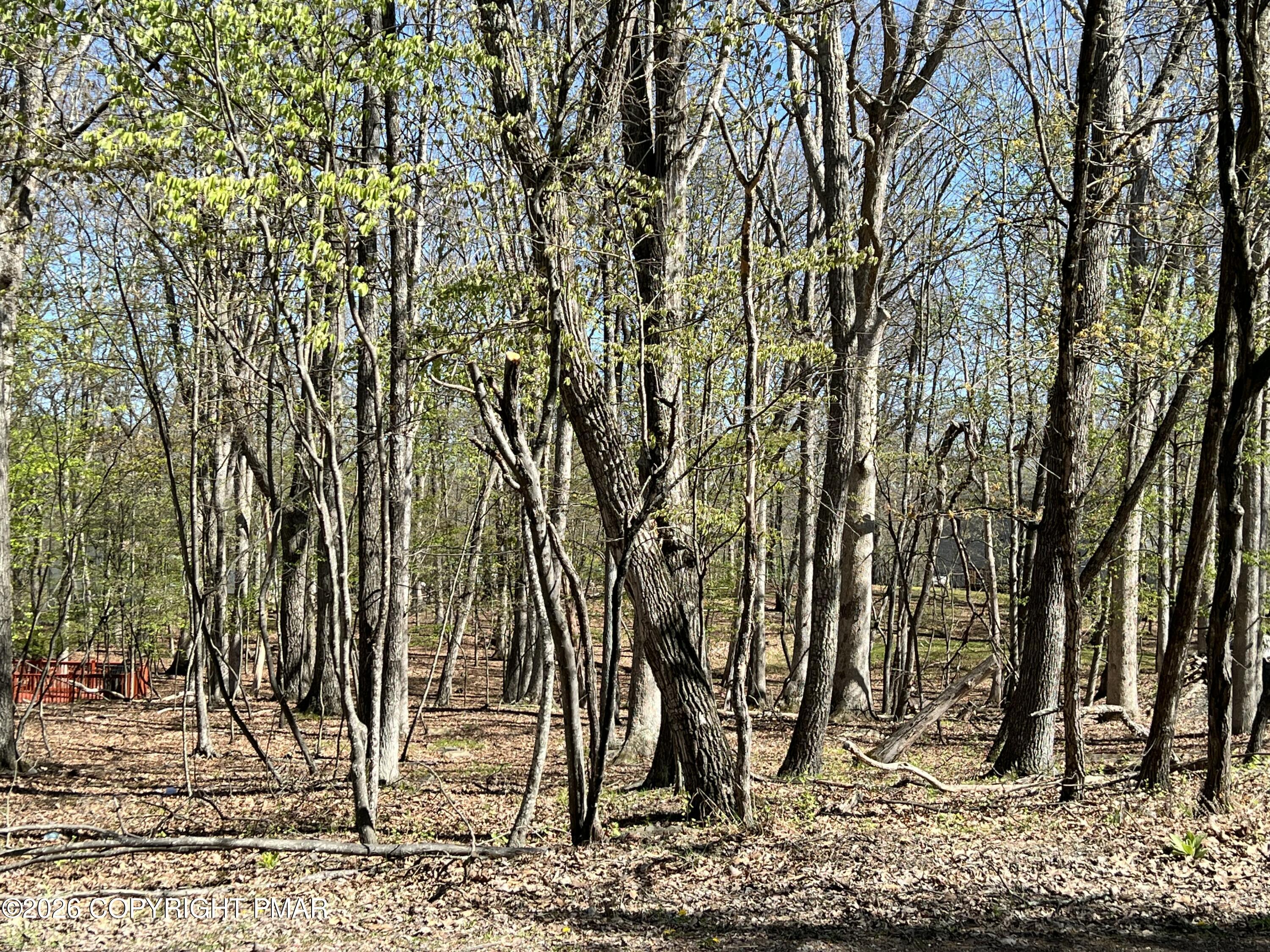 Land in East Stroudsburg 2