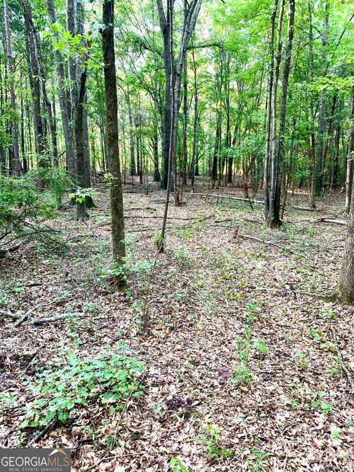 tract-b-0 Archer Grove School Rd, Athens, GA, 30607 | Card Image
