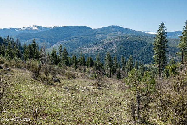 262 North Side Road, Home with 0 bedrooms, 0 bathrooms and null parking in Calder ID | Image 63
