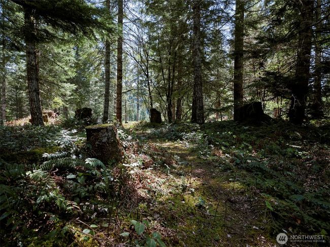 Acreage | Image 25