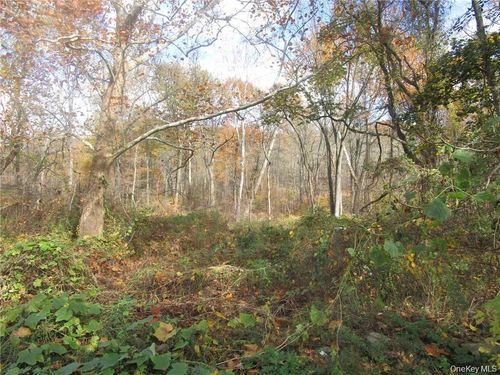 3766 Foothill St, Mohegan Lake, NY, 10547-1029 | Card Image