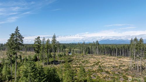 111 Ne Ridgetop Ct, Belfair, WA, 98528-5567 | Card Image