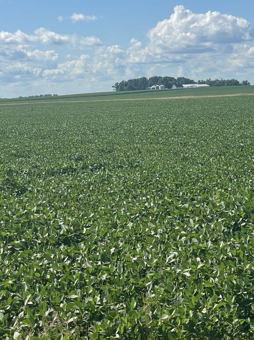 xxx 437th Ave, Delavan, MN, 56023 | Card Image