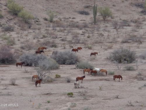13-f-13 N Fort Mcdowell Rd, Fort Mcdowell, AZ, 85264 | Card Image