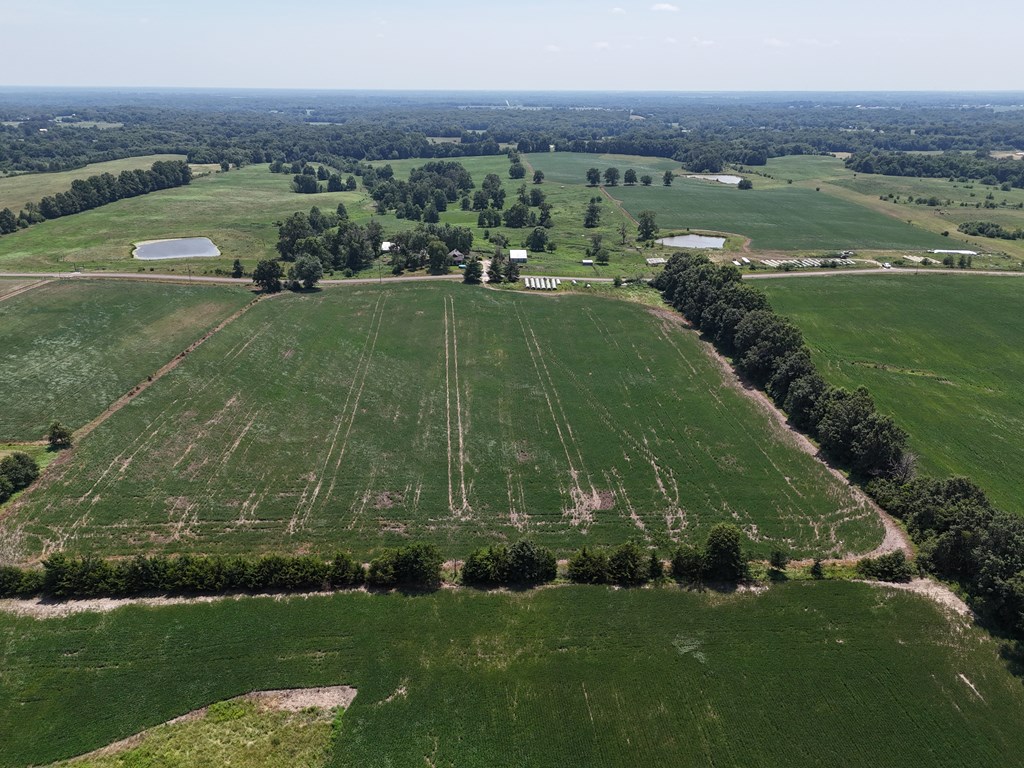 Land in Macon 4