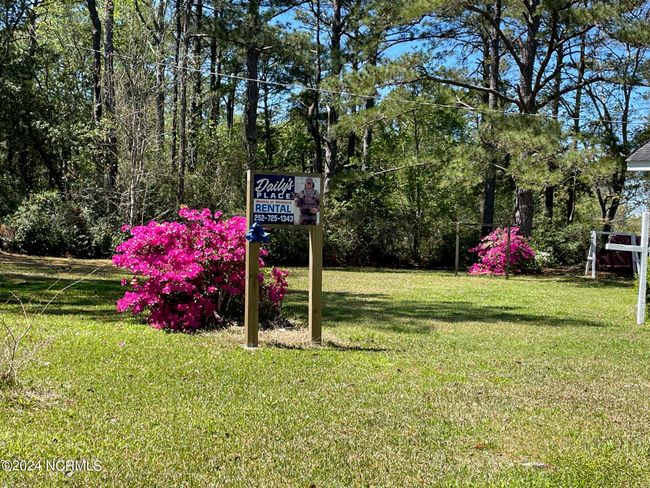 Right side yard | Image 7