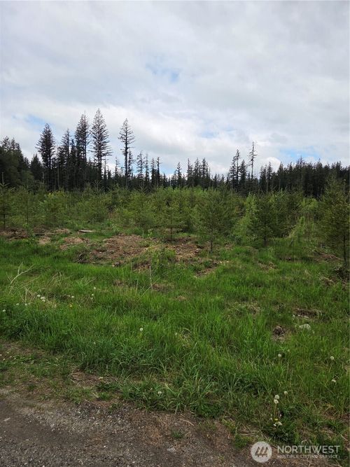 0 Windon Ln, Maple Falls, WA, 98266 | Card Image