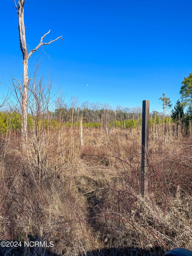 00 Sykes Town Rd, Home with 0 bedrooms, 0 bathrooms and null parking in Currie NC | Image 62