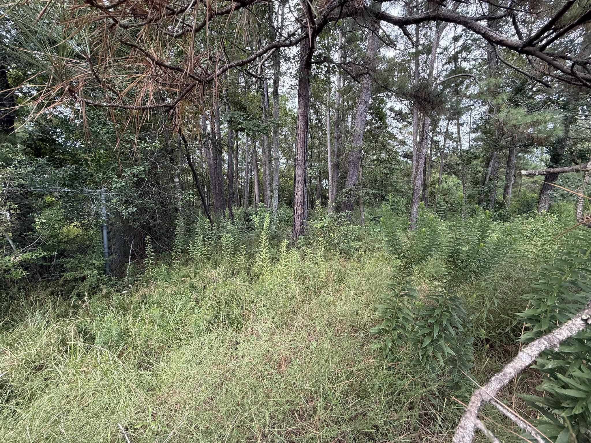 Land in Vidor 2