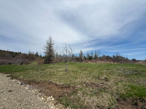 Lot 3 Holmes Bay Farms Road, Whiting, ME, 04691 | Card Image
