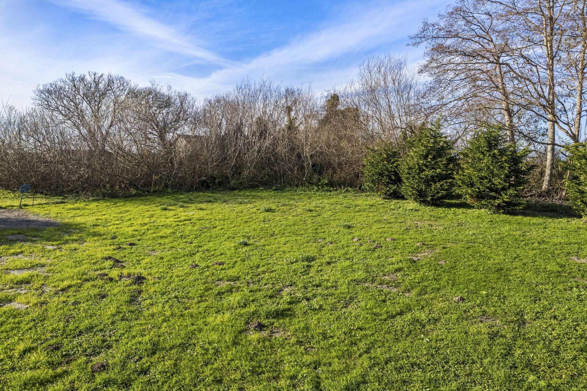 Land in Ferndale 4