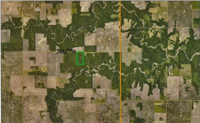 XXX 306 Th St, Home with 0 bedrooms, 0 bathrooms and null parking in Henderson MN | Image 5