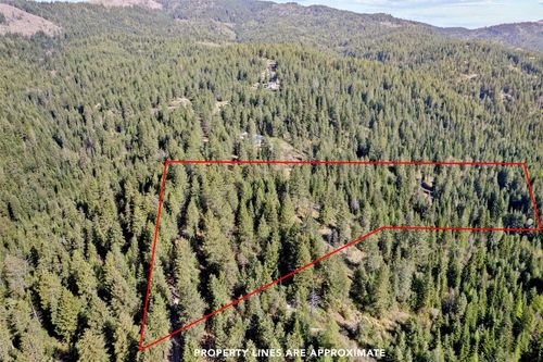 12703 S Alpine Fern Ln, Rockford, WA, 99030 | Card Image