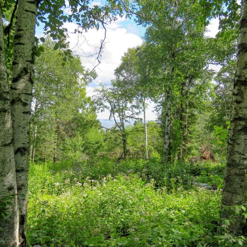 xxx Hoaglund Dr, Tofte, MN, 55615 | Card Image
