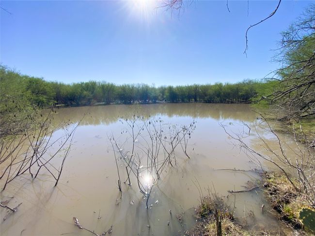 Middle pond | Image 34