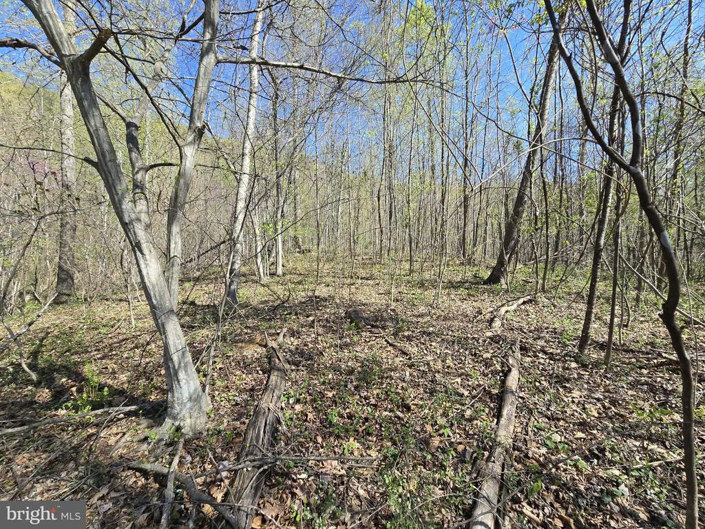 Land in MADISON 5