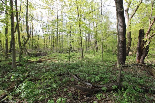 00S Creek Rd, Home with 0 bedrooms, 0 bathrooms and null parking in Williamsfield OH | Image 4