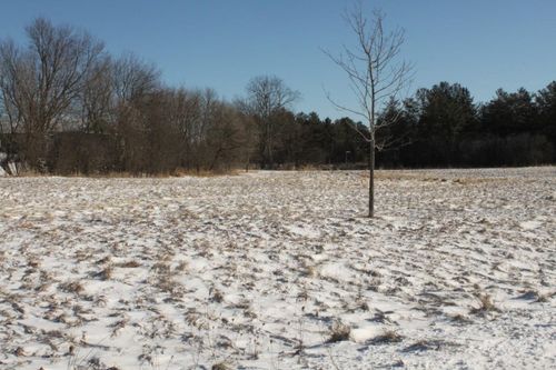 1005 Mill Pond Circle, WEYAUWEGA, WI, 54983 | Card Image