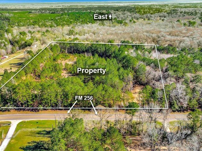 This aerial photo showcases a spacious, wooded property outlined against a lush green landscape. It is bordered by FM 256, offering easy road access. The land is densely covered with trees, providing privacy and a natural setting, ideal for a serene home environment. | Image 5
