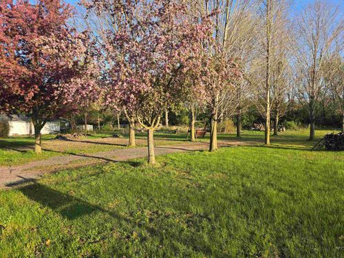 0 W Doyle Road, Laingsburg, MI, 48848 | Card Image