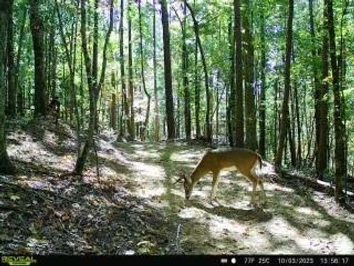 2691 Old Burnt Mountain Rd, Jasper, GA, 30143 | Card Image