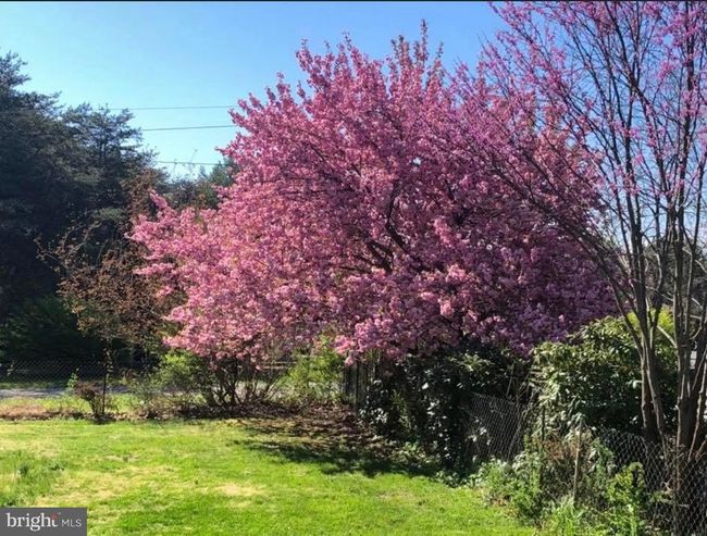 140 Duck Run Ln, House other with 3 bedrooms, 1 bathrooms and null parking in Star Tannery VA | Image 52