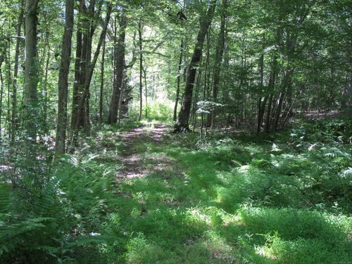 42 Lake Rd, Bozrah, CT, 06334-1416 | Card Image