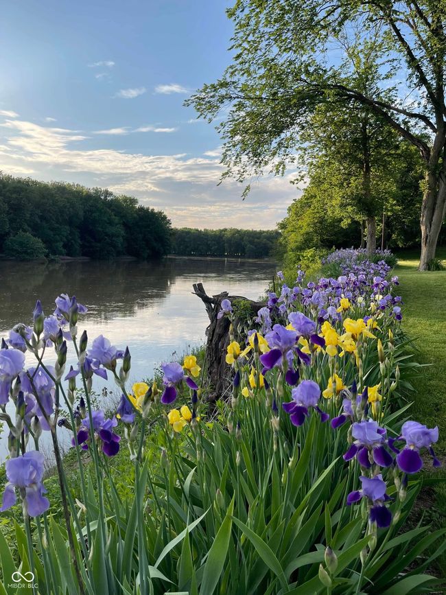 water view with a view of trees | Image 71