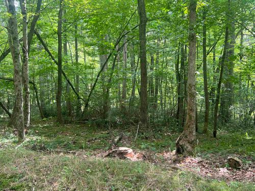 TBD Nebo, Buckhannon, WV, 26201 | Card Image