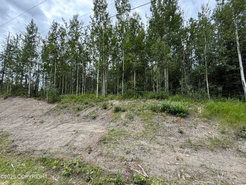 1060 N Hickory Street, Wasilla, AK, 99654 | Card Image
