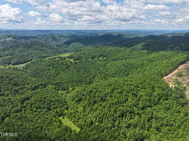 000 Goode Hollow Rd, Home with 0 bedrooms, 0 bathrooms and null parking in Duffield VA | Image 29