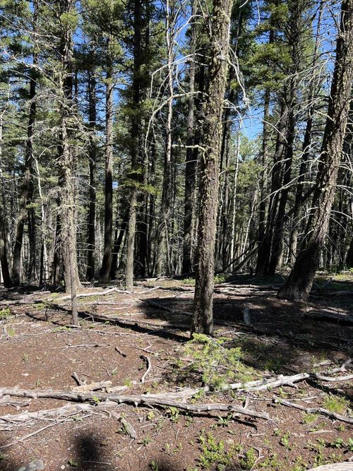 14 Back Basin Rd, Angel Fire, NM, 87710-8015 | Card Image