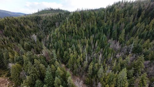 7301 Highway 31, Ione, WA, 99139 | Card Image