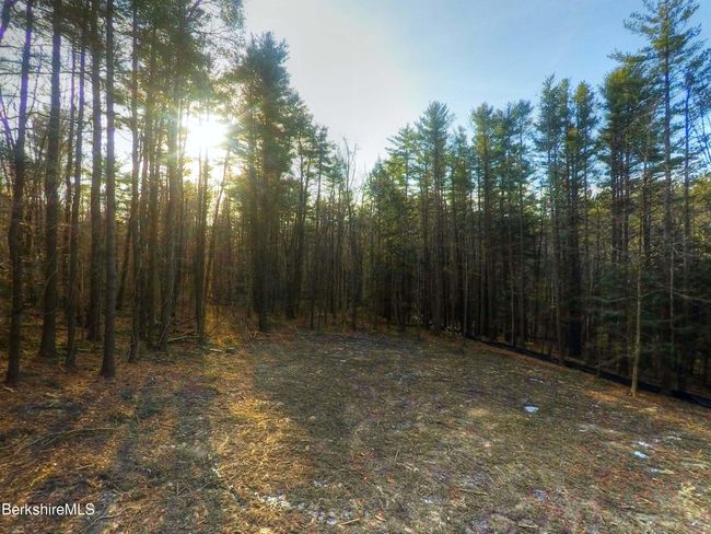 13 Rattlesnake Mtn Rd, Home with 0 bedrooms, 0 bathrooms and null parking in Stockbridge MA | Image 25