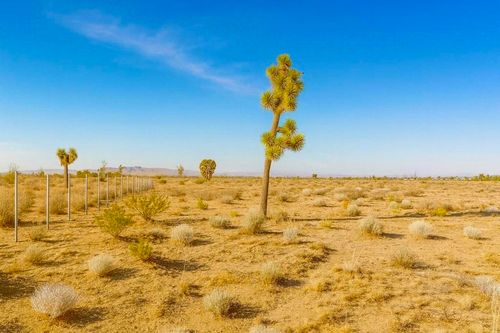 6982 South St, Phelan, CA, 92371 | Card Image