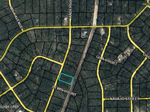 0000 Anderson Dr, Alford, FL, 32420 | Card Image