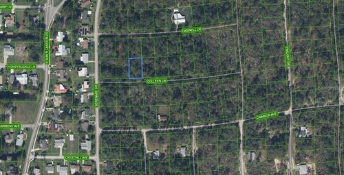 208 Coleen Ln, LAKE PLACID, FL, 33852 | Card Image