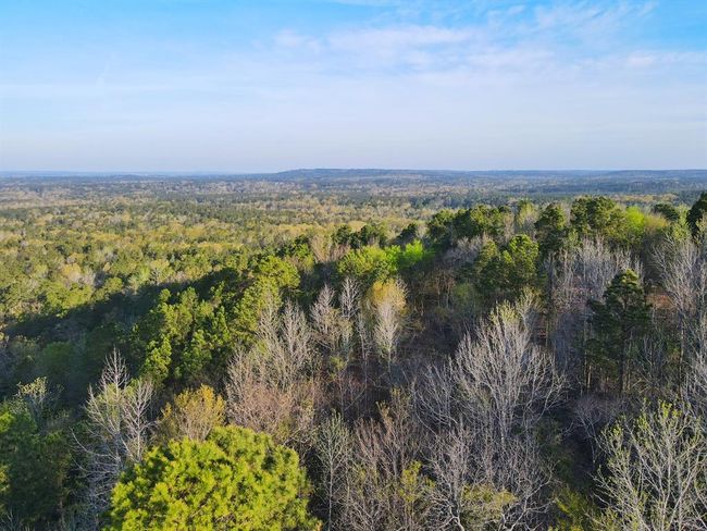 99 Cr 2107, Home with 0 bedrooms, 0 bathrooms and null parking in Rusk TX | Image 4