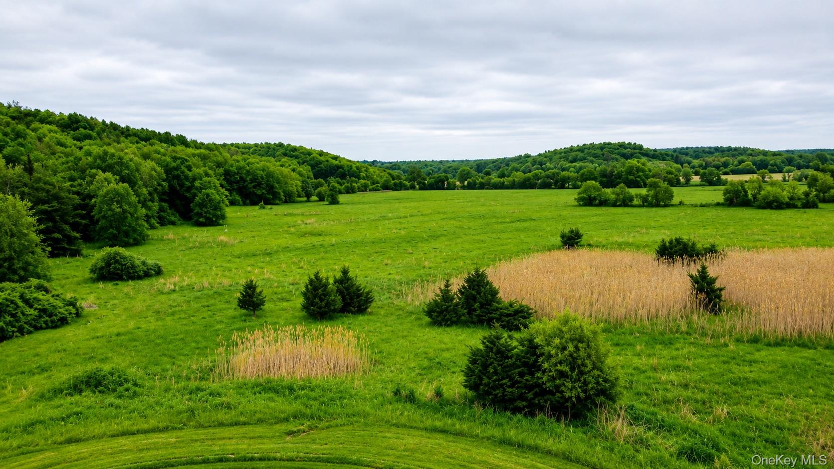 Land in Chester Town 3