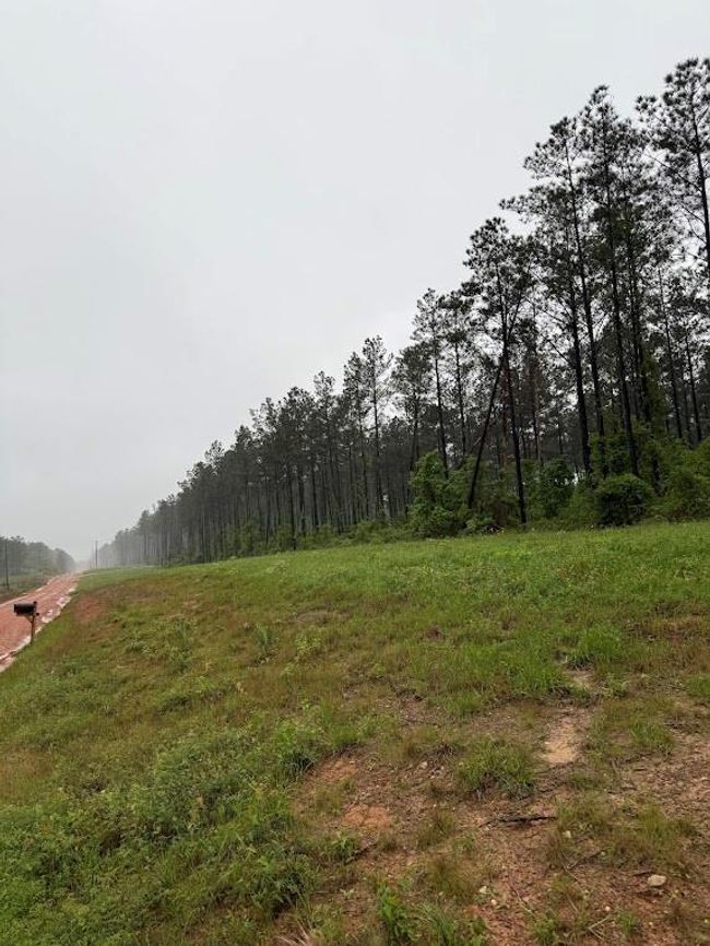 0 Richardson Rd E, Home with 0 bedrooms, 0 bathrooms and null parking in Livingston TX | Image 8