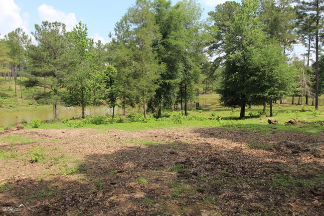 507 Js Mcleod Jr Way, House other with 6 bedrooms, 4 bathrooms and null parking in Blakely GA | Image 93
