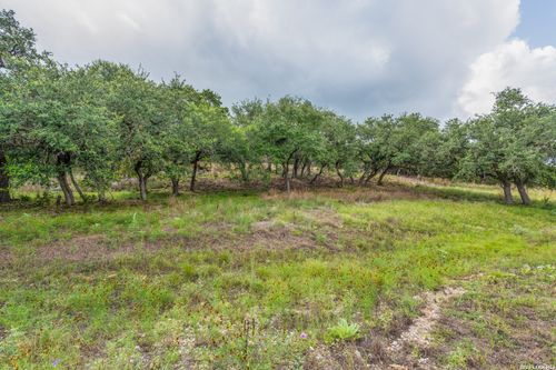 TBD Cibolo Dr, Bulverde, TX, 78163 | Card Image