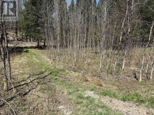 27 Old Nipissing Road N Road, Home with 0 bedrooms, 0 bathrooms and null parking in Parry Sound Remote Area (Pringle) ON | Image 12
