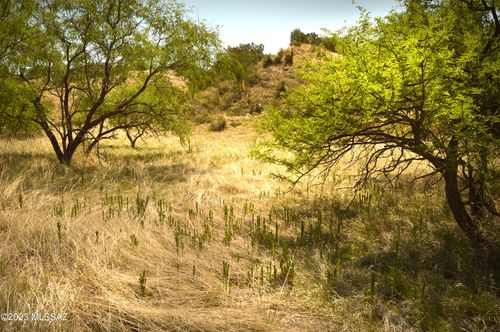 lot-13-206 Tanglehead Ln, Patagonia, AZ, 85624 | Card Image