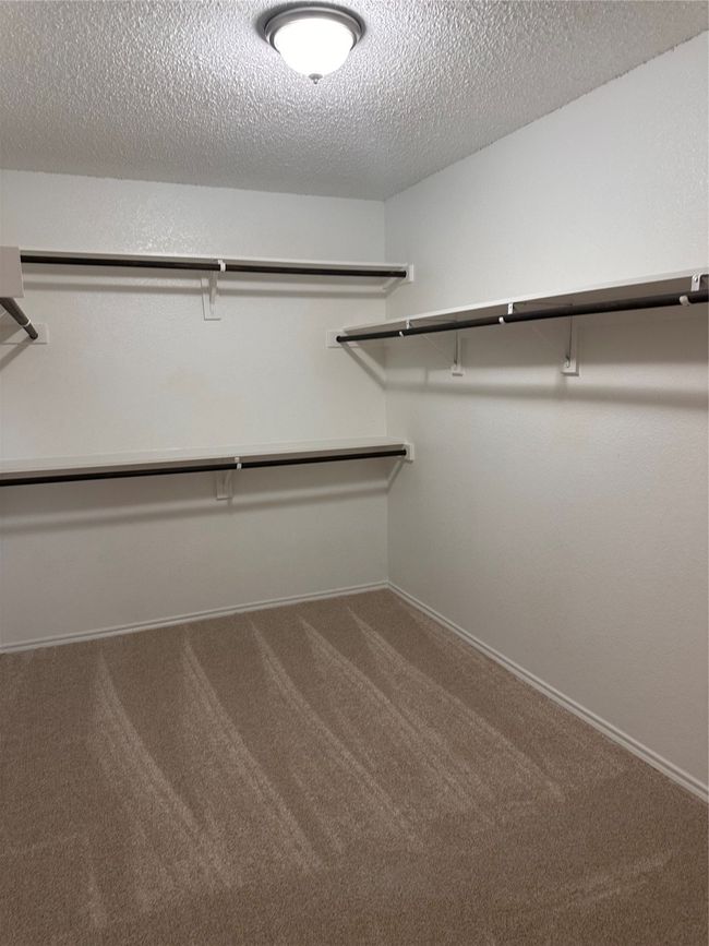 Spacious closet featuring carpet | Image 9