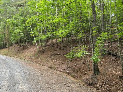 LT2788 Medina Ct, Ellijay, GA, 30540 | Card Image