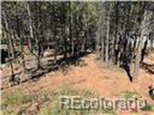 1394 Millstone Ln, Woodland Park, CO, 80863-7414 | Card Image