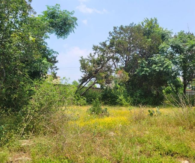 Another angle of the lot | Image 10