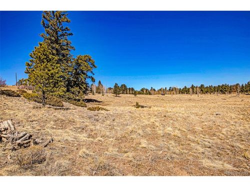 1250 Kaufman Rd, HARTSEL, CO, 80449 | Card Image